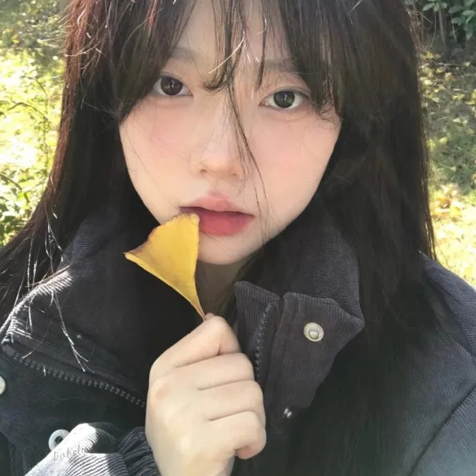 月陨回声
